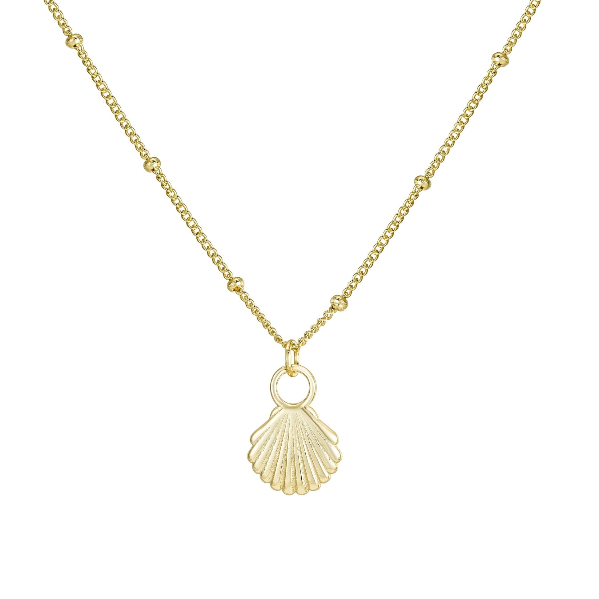 Necklace - Arianna Shell Pendant Necklace - Curated Dry Goods