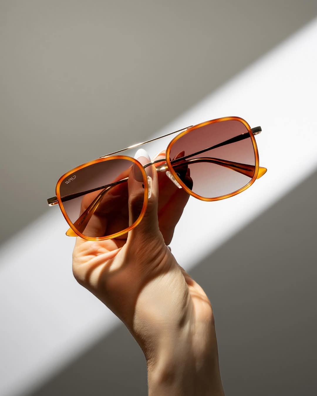 Sunglasses - Curated Dry Goods