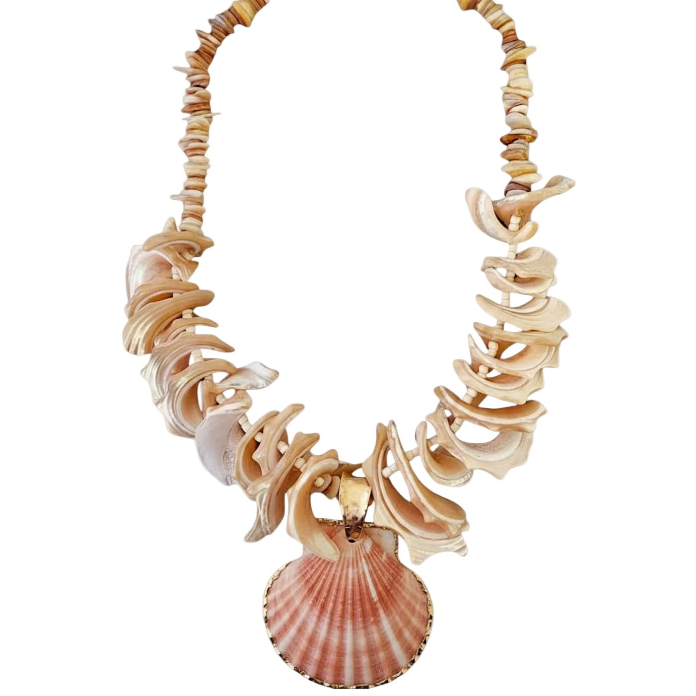 Necklace - Siesta Key Shell Pendant Necklace - Curated Dry Goods